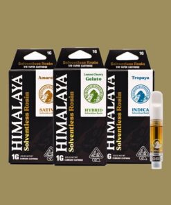 HIMALAYA Solventless Live Rosin Amarel 1g